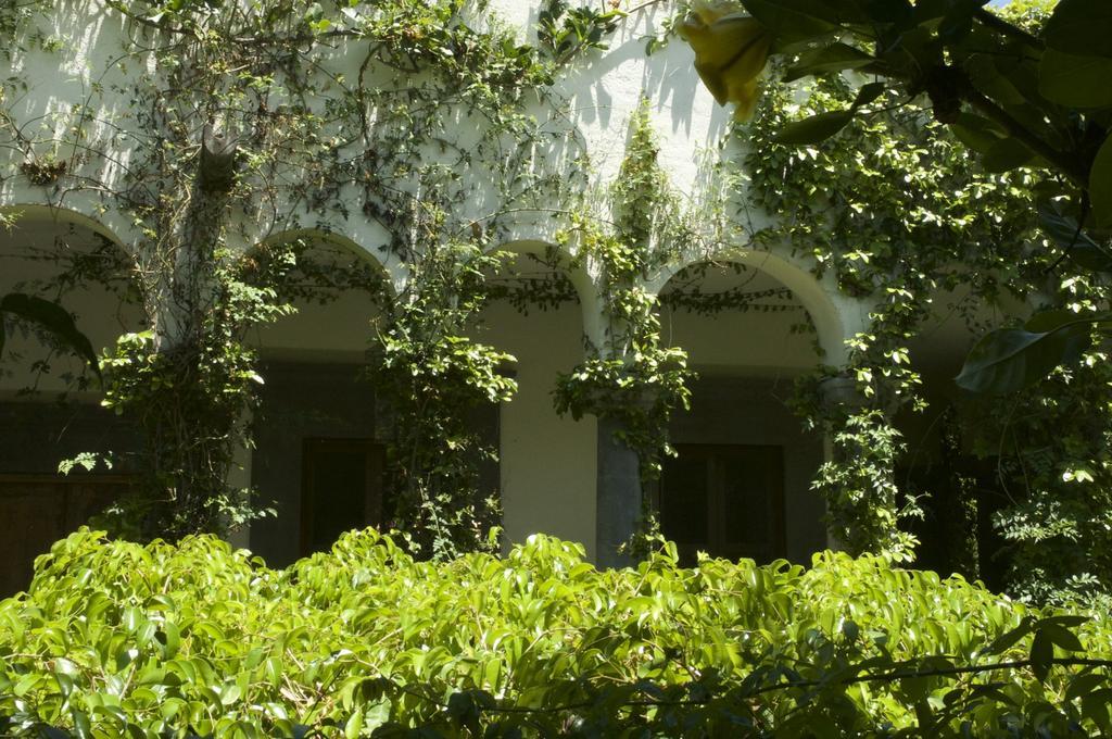 Casa Mision De San Miguel Otel San Miguel de Allende Dış mekan fotoğraf